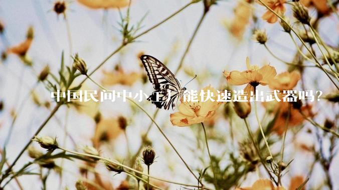 中国民间中小工厂能快速造出武器吗？