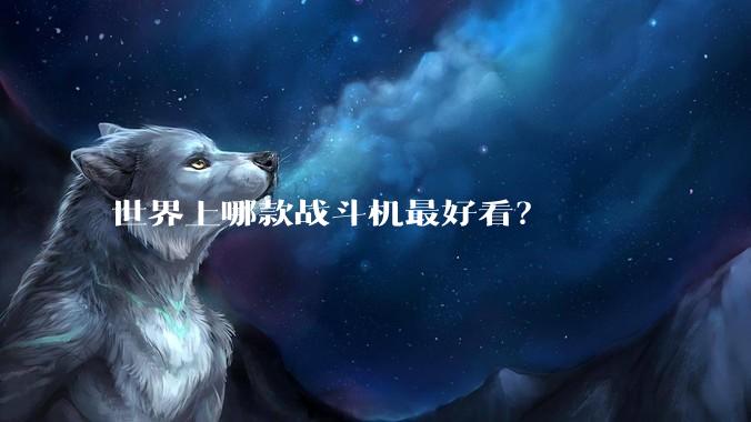 世界上哪款战斗机最好看？