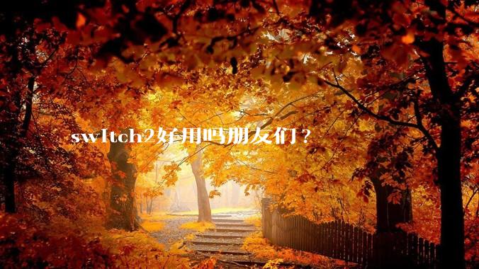 switch2好用吗朋友们?