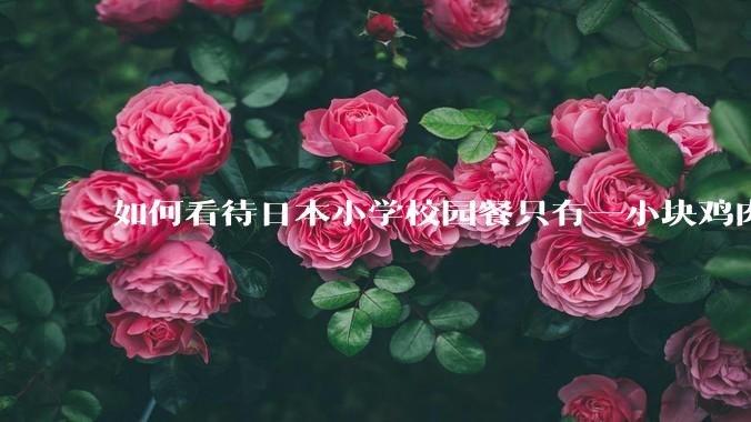 如何看待日本小学校园餐只有一小块鸡肉？