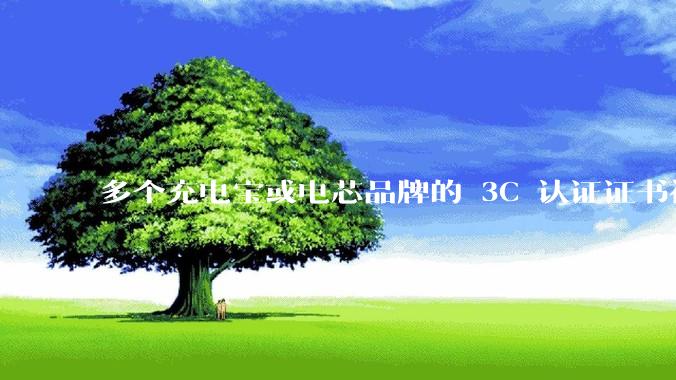多个充电宝或电芯品牌的 3C 认证证书被暂停，涉及罗马仕、安克、绿联、倍思、安普瑞斯等，发生了什么？
