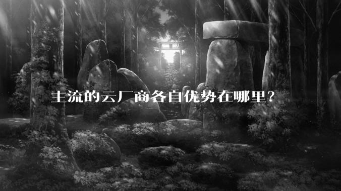 主流的云厂商各自优势在哪里？